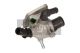 MAXGEAR Thermostat, Kühlmittel 18-0251