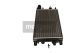 MAXGEAR Kühler, Motorkühlung AC252165