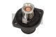 MAXGEAR Thermostat, Kühlmittel 18-0417