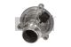 MAXGEAR Thermostat, Kühlmittel 18-0422