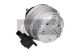 MAXGEAR Lagerung, Motor 40-0284