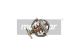 MAXGEAR Thermostat, Kühlmittel 18-0440