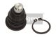 MAXGEAR Trag-/Führungsgelenk 72-2976