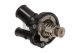 MAXGEAR Thermostat, Kühlmittel 67-0042