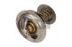 MAXGEAR Thermostat, Kühlmittel 67-0043