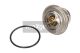 MAXGEAR Thermostat, Kühlmittel 67-0040