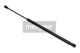 MAXGEAR Gasfeder, Koffer-/Laderaum 12-1502