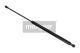 MAXGEAR Gasfeder, Koffer-/Laderaum 12-1512