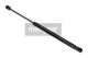 MAXGEAR Gasfeder, Koffer-/Laderaum 12-1513