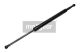 MAXGEAR Gasfeder, Koffer-/Laderaum 12-1524