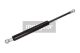 MAXGEAR Gasfeder, Koffer-/Laderaum 12-1525