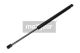 MAXGEAR Gasfeder, Heckscheibe 12-1534