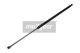 MAXGEAR Gasfeder, Koffer-/Laderaum 12-1535