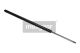 MAXGEAR Gasfeder, Koffer-/Laderaum 12-1540