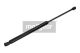 MAXGEAR Gasfeder, Koffer-/Laderaum 12-1542