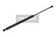 MAXGEAR Gasfeder, Koffer-/Laderaum 12-1549