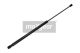 MAXGEAR Gasfeder, Koffer-/Laderaum 12-1556