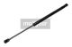 MAXGEAR Gasfeder, Koffer-/Laderaum 12-1559