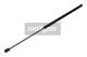 MAXGEAR Gasfeder, Koffer-/Laderaum 12-1563