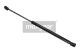 MAXGEAR Gasfeder, Koffer-/Laderaum 12-1567