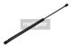 MAXGEAR Gasfeder, Koffer-/Laderaum 12-1569