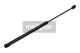 MAXGEAR Glühlampe, Fernscheinwerfer 78-0203