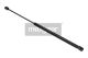 MAXGEAR Gasfeder, Koffer-/Laderaum 12-1583