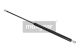 MAXGEAR Gasfeder, Heckscheibe 12-1595