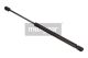 MAXGEAR Gasfeder, Koffer-/Laderaum 12-1601