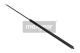 MAXGEAR Gasfeder, Koffer-/Laderaum 12-1614