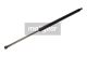 MAXGEAR Gasfeder, Koffer-/Laderaum 12-1617