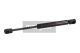 MAXGEAR Gasfeder, Motorhaube 12-1628