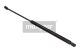 MAXGEAR Gasfeder, Koffer-/Laderaum 12-1636