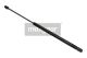 MAXGEAR Gasfeder, Koffer-/Laderaum 12-1639