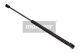 MAXGEAR Gasfeder, Koffer-/Laderaum 12-1641