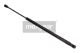 MAXGEAR Gasfeder, Koffer-/Laderaum 12-1659