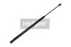 MAXGEAR Gasfeder, Koffer-/Laderaum 12-1664