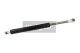 MAXGEAR Gasfeder, Koffer-/Laderaum 12-1669