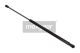 MAXGEAR Gasfeder, Koffer-/Laderaum 12-1670