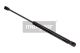 MAXGEAR Gasfeder, Koffer-/Laderaum 12-1692