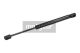 MAXGEAR Gasfeder, Heckscheibe 12-1697