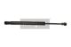 MAXGEAR Gasfeder, Koffer-/Laderaum 12-1705