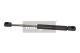 MAXGEAR Gasfeder, Koffer-/Laderaum 12-1712