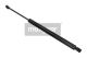 MAXGEAR Gasfeder, Koffer-/Laderaum 12-1717