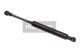 MAXGEAR Gasfeder, Koffer-/Laderaum 12-1735