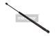 MAXGEAR Gasfeder, Koffer-/Laderaum 12-1742