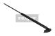 MAXGEAR Gasfeder, Koffer-/Laderaum 12-1750