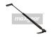 MAXGEAR Gasfeder, Koffer-/Laderaum 12-1754