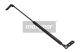 MAXGEAR Gasfeder, Koffer-/Laderaum 12-1755
