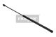 MAXGEAR Gasfeder, Koffer-/Laderaum 12-1776